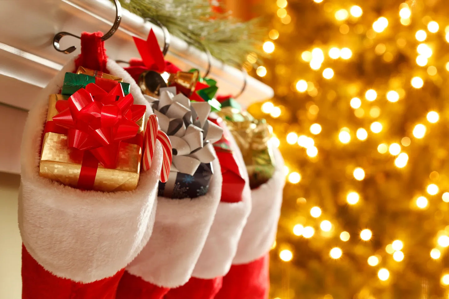 Deluxe Christmas Stocking Package